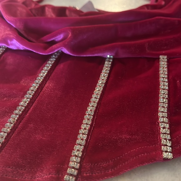 Pink Velvet Crop/Corset Top - Picture 2 of 5